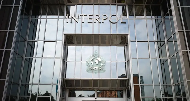 Interpol izdao prvo srebrno obaveštenje o poreklu imovine stečene kriminalom